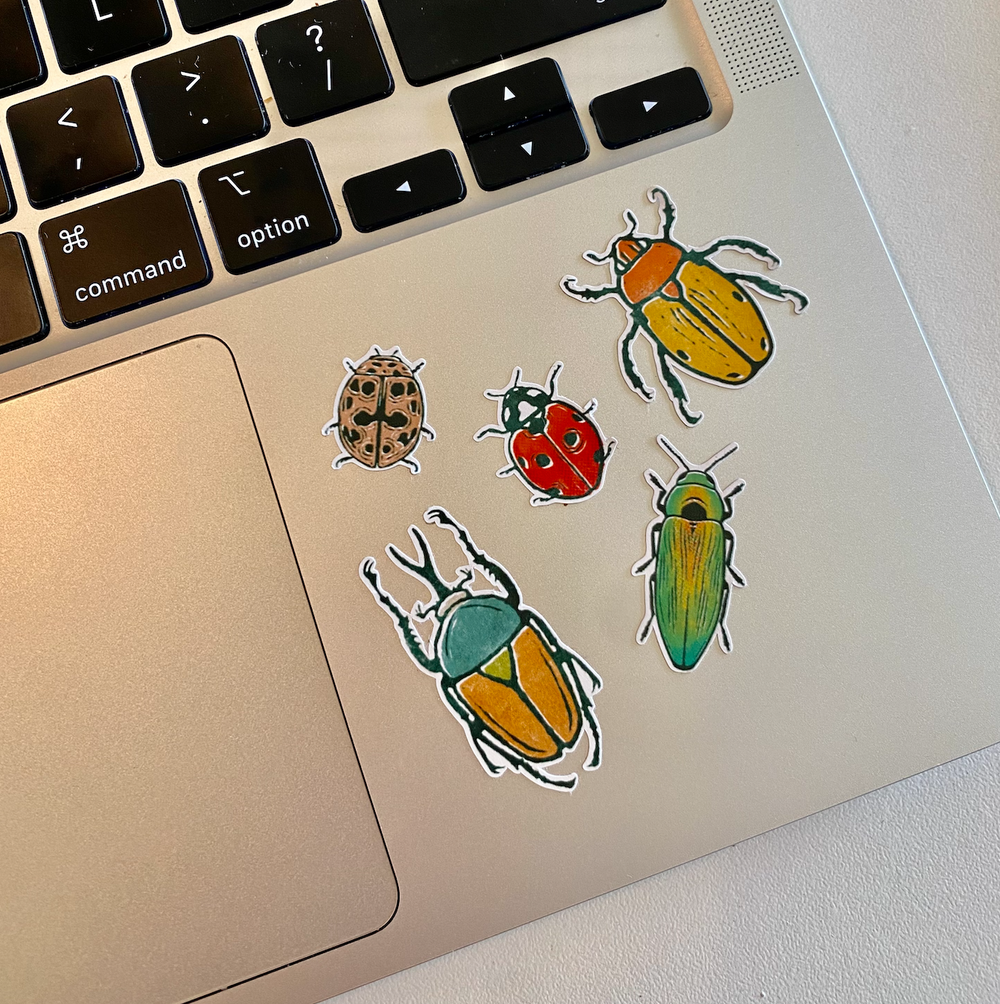 ※Beetle※マスキングテープ マスキングテープ 『mt 1P ピーコック MT01P204R』 画材・文具,文具